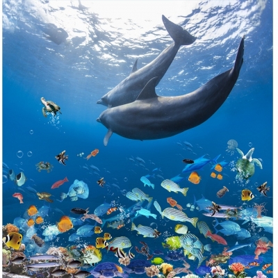 Tranh cá heo- gạch tranh 3D trang trí phòng