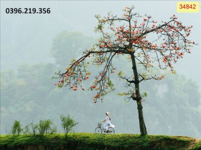 Tranh phong cảnh Việt Nam 3D trang trí