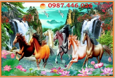 Gạch ốp tường mã đáo thành công HP436