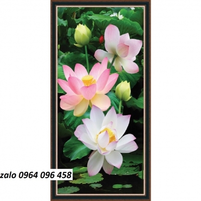 Tranh 3d hoa sen - tranh gạch hoa sen 3d ốp tường - SCXV64