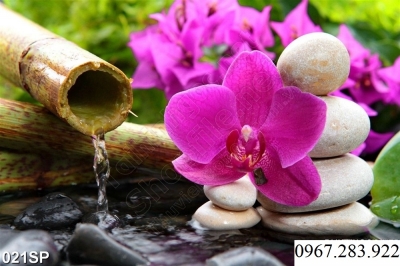 Tranh 3D- Tranh hoa lan