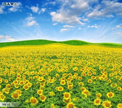 Tranh gạch 3d vườn hoa - KHC32