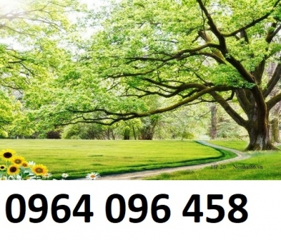 Tranh rừng cây - tranh gạch 3d rừng cây - CXX3