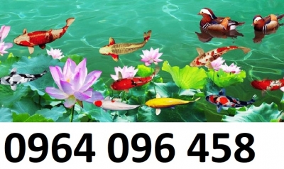 mẫu tranh gạch 3d cá chép phong thủy - 76SXM