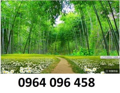 Gạch tranh 3d ốp tường rừng tre - FDXCC43