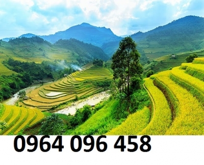 Tranh gạch 3d ruộng bậc thang - SXV887