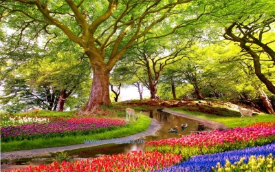 Tranh vườn hoa- gạch tranh 3D