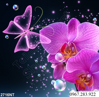 Tranh trang trí tường- Tranh hoa lan 3d