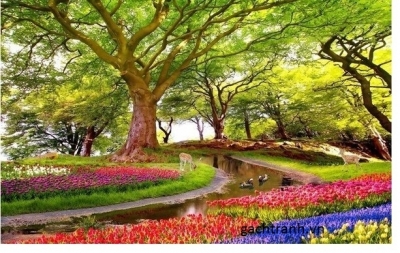 Tranh gạch rừng cây 3d - BVCC444