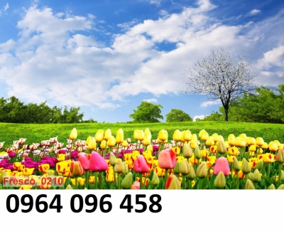 Tranh gạch 3d phong cảnh vườn hoa - 854DP