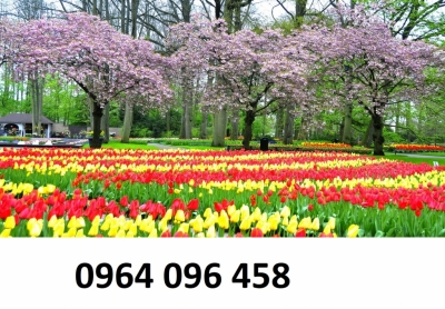 Tranh gạch 3d vườn hoa thiên nhiên - FSZ111