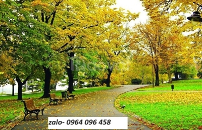 Tranh gạch 3d ốp tường rùng cây - 09MN