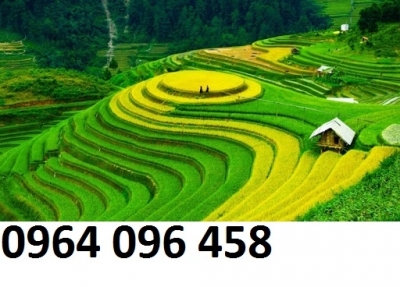 Tranh gạch 3d ruộng bậc thang - NBBN76