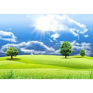 Tranh 3d - tranh gạch 3d - gạch tranh 3d - BNM987