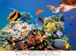 Tranh gạch 3d cá heo đại dương - 043XC