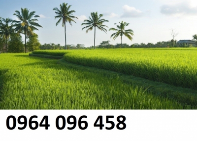 Tranh phong cảnh thiên nhiên tranh gạch 3d ốp tường - KGC4