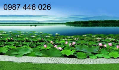 Gạch tranh cảnh hồ sen HP8722