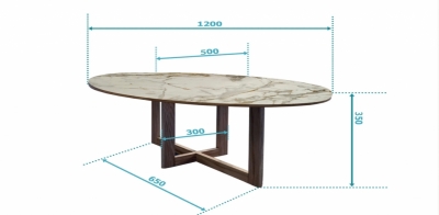 Bàn trà Elip 1m2-50