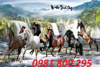 tranh gạch 3d dán tường mã đáo thành công