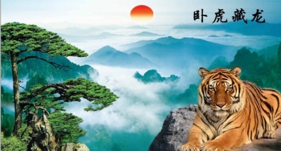 Gạch tranh 3d con hổ phong thủy - SNC43