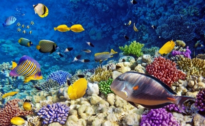 Tranh gạch 3d phòng tắm - HBBN7