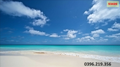 Gạch tranh đẹp 3D biển trang trí