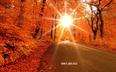 Tranh phong cảnh mùa thu lá đỏ- Tranh gạch