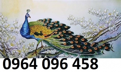 Tranh gạch 3d chim công - CX433