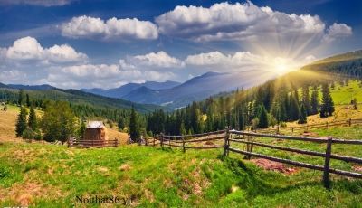 Tranh 3d - tranh gạch 3d - gạch tranh 3d - XBV94