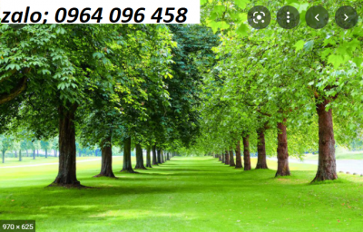 tranh gạch 3d phong thủy mệnh hỏa - FSAZ7444