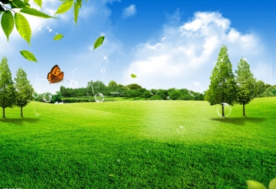 Tranh gạch phong cảnh thiên nhiên 3d - 700M