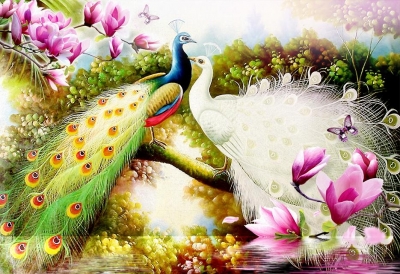 Tranh 3D- Tranh chim công