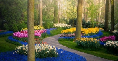 Tranh 3D- Tranh gạch vườn hoa