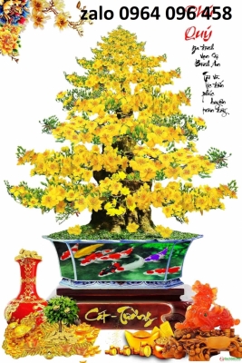 Tranh gạch 3d hoa mai - gạch tranh 3d hoa mai - FDS87