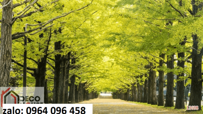 Gạch tranh 3d phong cảnh rừng cây - 076CV
