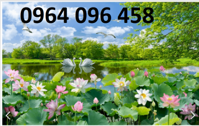 Tranh gạch 3d hoa sen ốp tường - 9000CM