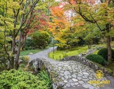 Gạch tranh 3d cây cổ thụ - XCB09