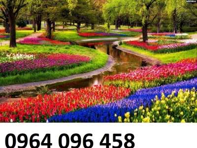 Tranh gạch 3d cao cấp - XMM93