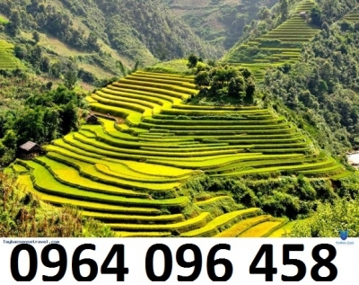 Tranh gạch 3d ruộng bậc thang - 222XM