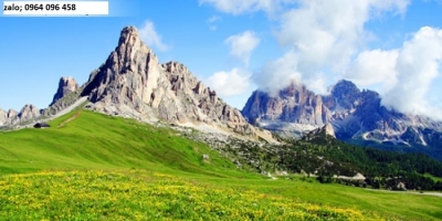 Tranh gạch 3d phong thủy mệnh mộc - DCNN84