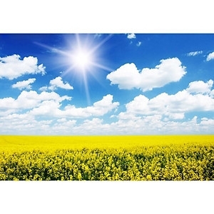 Tranh 3d - tranh gạch 3d - gạch tranh 3d - BNM987