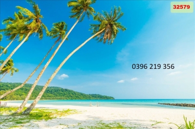 Tranh gạch men Biển trang trí phòng khách