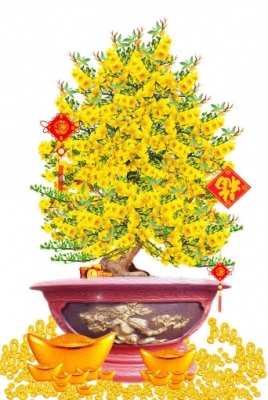 Tranh 3d cây mai tranh gạch 3d cây mai 765AC