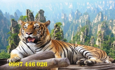 Tranh hổ- gạch tranh ốp tường HP0224