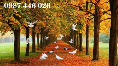 Tranh gạch phong cảnh đẹp Hp3842