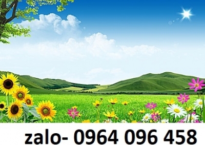 Tranh 3d - tranh gạch 3d - gạch tranh 3d - XBV94