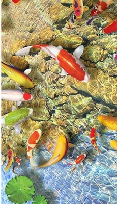 Gạch lát sàn 3d - HBVR11