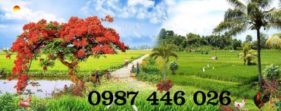 Gạch tranh làng quê 3d HP612