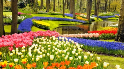 Tranh phong cảnh-Gạch tranh mùa xuân