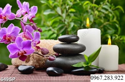 Gạch ốp tường 3D hoa lan